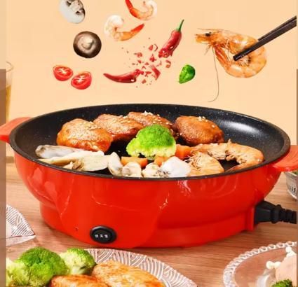 Mini Electric Frying Pan